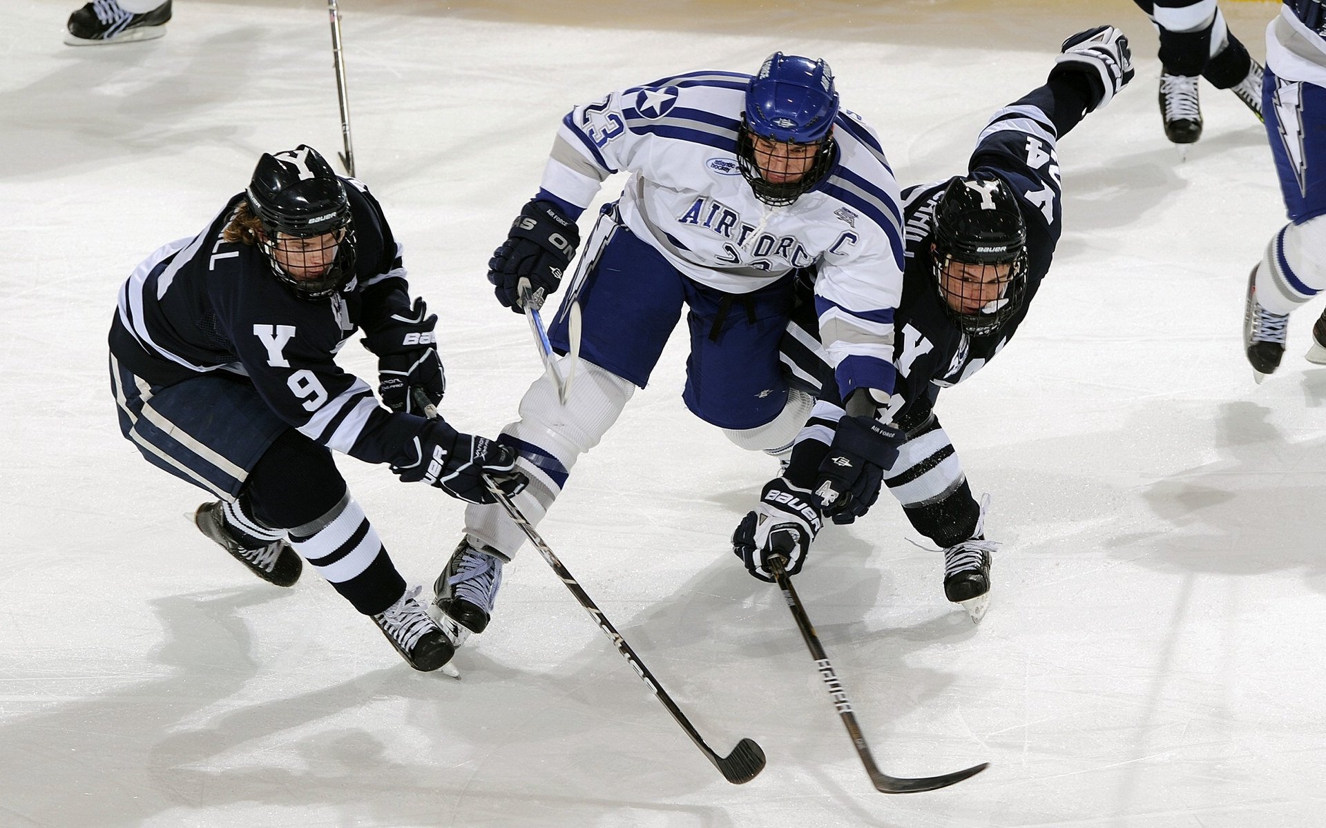 体育赛事粉丝增长趋势